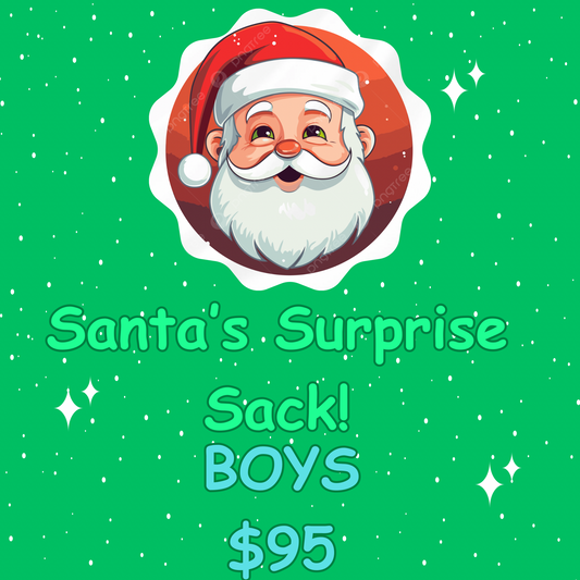 Santa’s Surprise Sack-BOYS